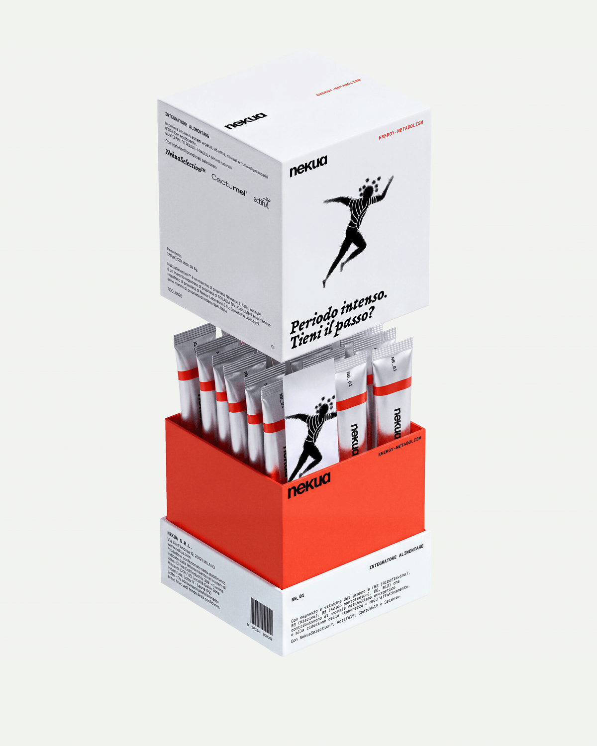 Energy-Metabolism
